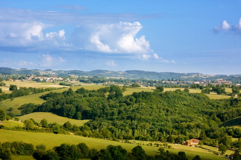 Paysage vallonné verdoyant sous un ciel bleu avec des nuages blancs.